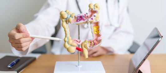 Vitamine D et syndrome de l’intestin irritable (SII) ?